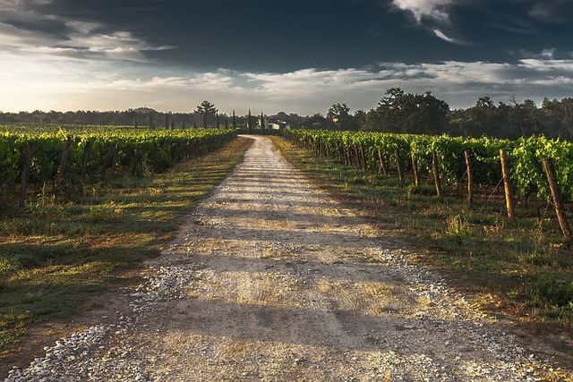 country-lane-428039__480.jpg