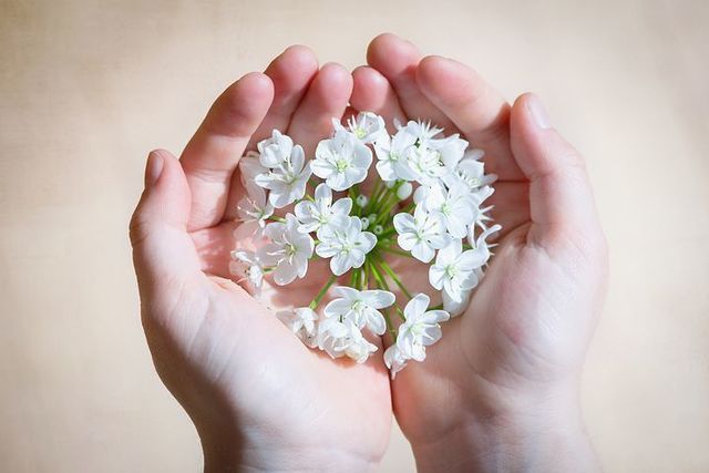 flower-1307578__480.jpg